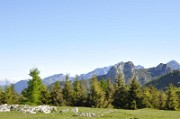 12 Verso Nord
